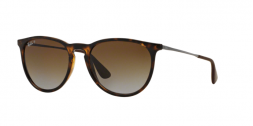 Ray Ban RB4171 ERIKA 710T5 HAVANA